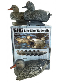 STAMPI CANAPIGLIE LIFE SIZE 6 PZ GHG