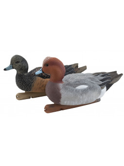 AVIAN X FISCHIONI