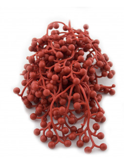 SORBI IN PLASITCA (BACCHE ROSSE) 20 PZ
