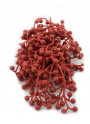 SORBI IN PLASITCA (BACCHE ROSSE) 20 PZ