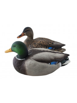 AVIAN X GERMANI FULL BODY
