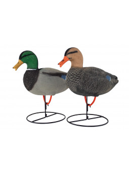 GERMANI DA CAMPO EVOLUTION FULL BODY 4 PZ