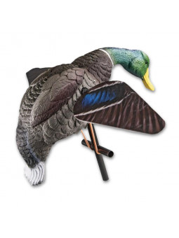 LUCKY DUCK HD DRAKE