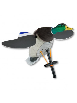 LUCKY DUCK JUNIOR II