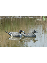 Caccia agli acquatici: Acquista Online su Zoo Veneto