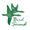 Bird Sound