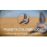 Pianeta Colombaccio