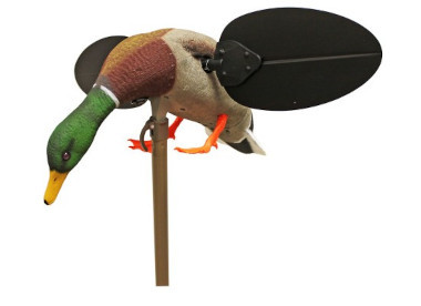 Caccia Agli Acquatici