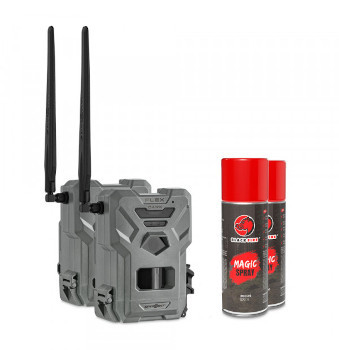 Caccia al Cinghiale  & Ungulati